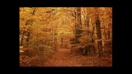 Les Feuilles Mortes Yves Montand
