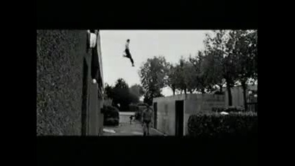 David Belle