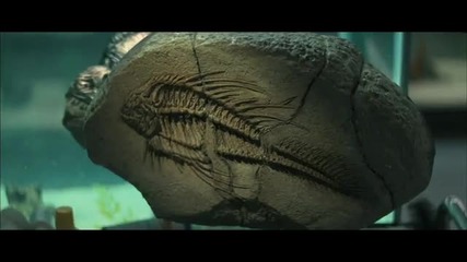 Piranha 3d Trailer Hd
