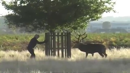 Елен Лопатар vs суровояд Вегетарианец природолюбител...