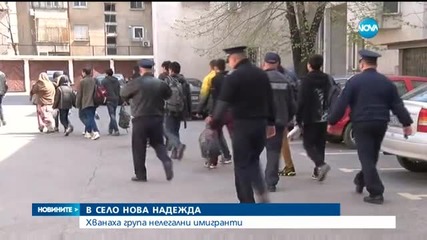 Хванаха група нелегални мигранти в Хасковско
