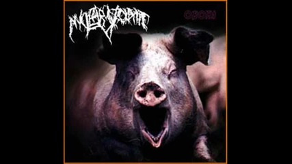 Nuclear Vomit - obora (cd track - Hq ) 