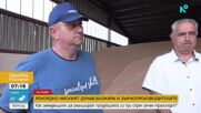 Рекордно ниският Дунав блокира тонове зърно в складовете на производителите