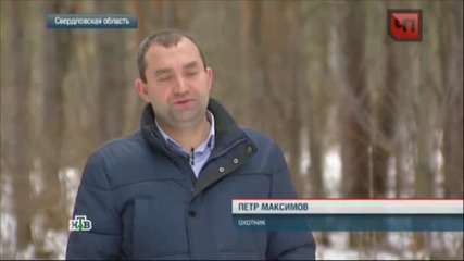 В Челябинск, ловецът застреля чудовище мутант глиган