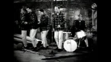 The Beach Boys - Surfin Safari