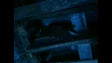 Видео - 0001