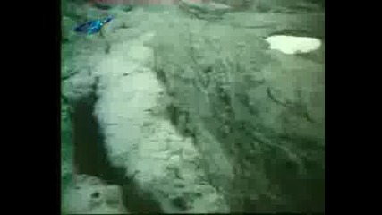 Атлас - Кукла