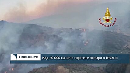 Над 40 000 са вече горските пожари в Италия