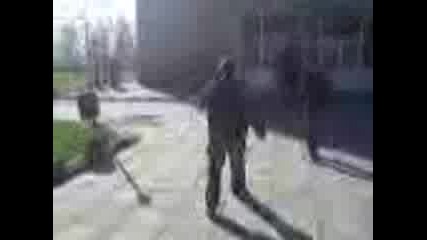 Слона на Град Дългопол