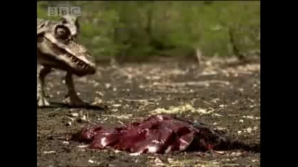 dinosaur rex