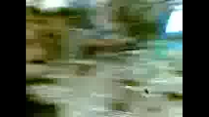 Dancho Barbaleqta