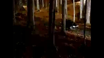 Bmw - Its Only A Car