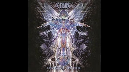 Cynic - The Space For This