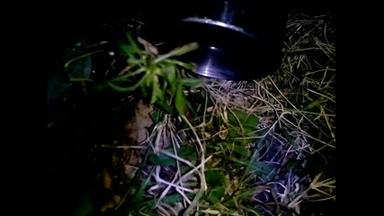 Vid_20140901_201429