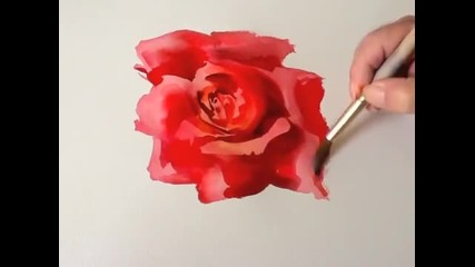 Как да нарисуваме червена роза с акварел / Trevor Waugh/