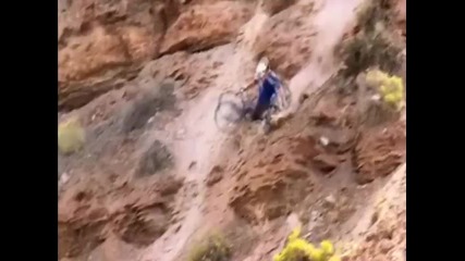 Best Of Downhill and Freeride