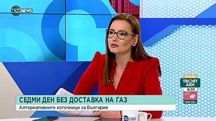 Божков: България има собствена алтернатива за газова диверсификация