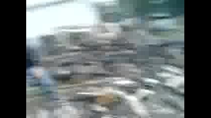 Ludia