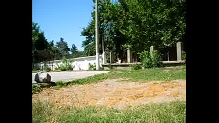 Baranii [: