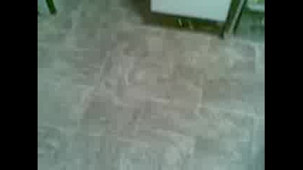 angel pi rakiq i bira v gro6a