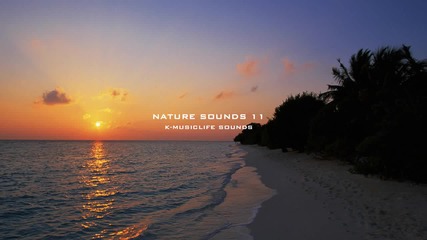 Най-успокояващите звуци от природата * 11 * Nature Sound * The Most Relaxing Sounds