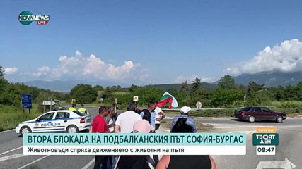 Нов протест на животновъдите затвори Подбалканския път