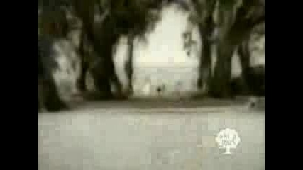 Divine - Lately