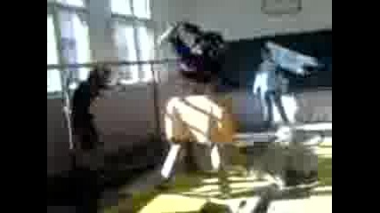 Mov00002.3gp
