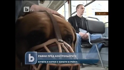 Кучета и котки с билети в рейса