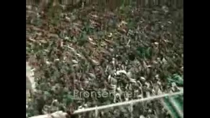 Panathinaikos Derby 