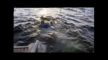 Bbc Diving With Killer Whales 