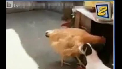 Смях до сълзи 