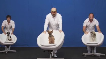Тези са много добри
