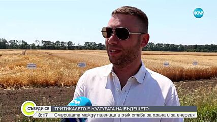 Тритикалето – култура на бъдещето