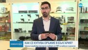 Как се купува оръжие в България и какви са правилата за съхранението му