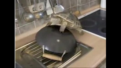 Любовта е сляпа 