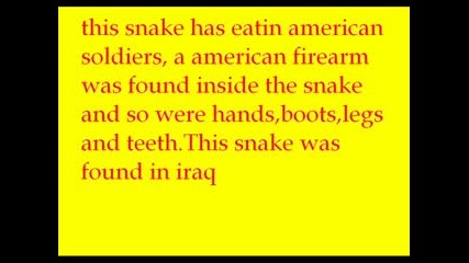 Най - голямата змия в света