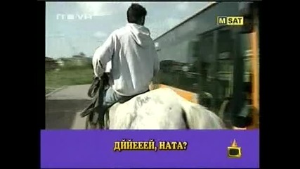 Ром си търси конете из града - Господари на ефира 6.05.2008 High-Quality