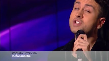 Danijel Pavlovic - Ruza sudbine - Tv Grand 13.02.2018.