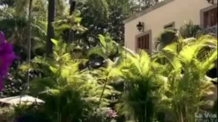 El Senor De Los Cielos - Capitulo 11