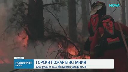Новините на NOVA (22.07.2026 - 7.00)