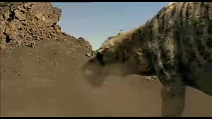 Бой на негри в тъмна нощ