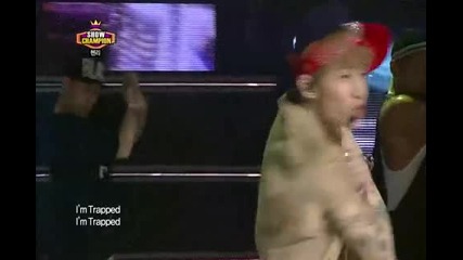 Henry - Trap Show champion 20130612