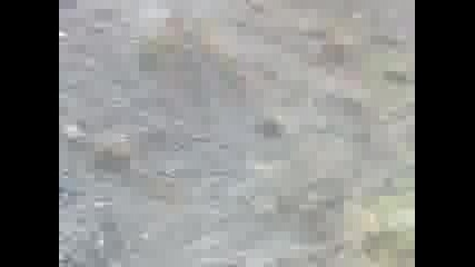 cross ma6ina