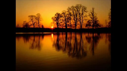 Robbie Williams - Feel
