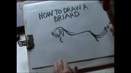 Как Да Нарисуваме Куче Briard