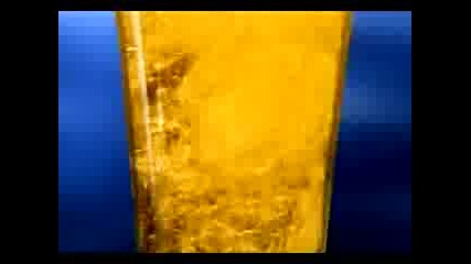 gotina bira