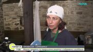 Как се правят българските млечни продукти по традиционна технология