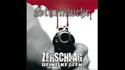 Sturmwehr - Unser Land
