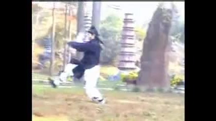 Tiger style kung fu